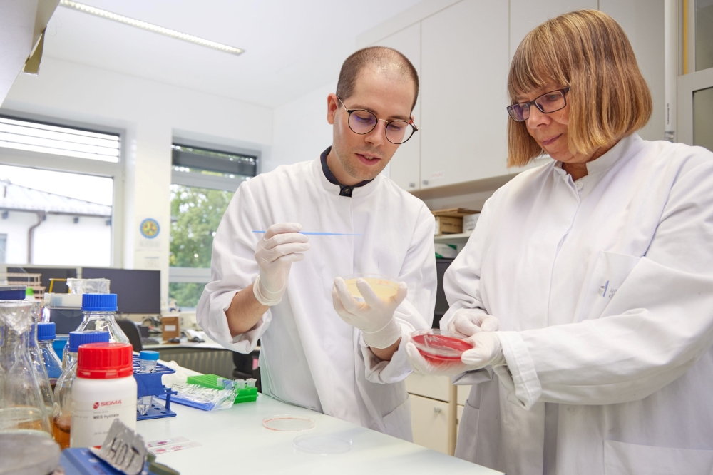 Michael Hort und Prof. Dr. Gabriele Bierbaum - betrachten eine Anzuchtplatte mit dem resistenten Staphylococcus aureus-Stamm. 