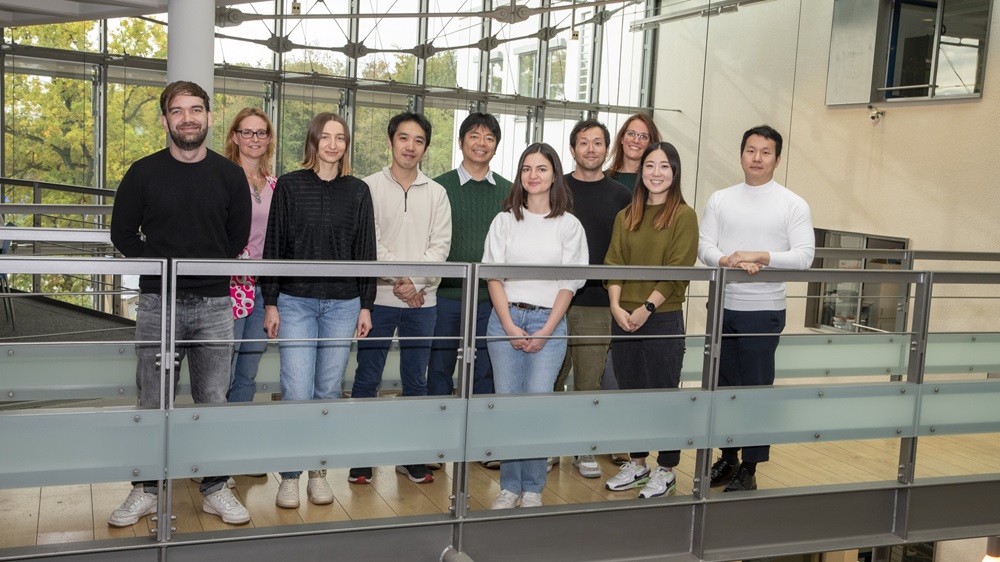 Molekularer Mechanismus für tödliche Nephritis aufgeklärt: Das Team um Prof. Hiroki Kato hat herausgefunden, wie kleine RNA-Moleküle den mutierten viralen Sensor RIG-I aktivieren und zu tödlicher Nephritis führen.