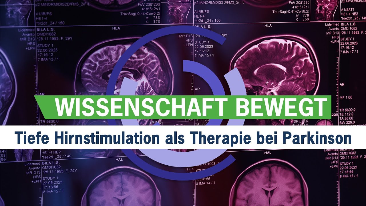Platzhalterbild für Einbettung
